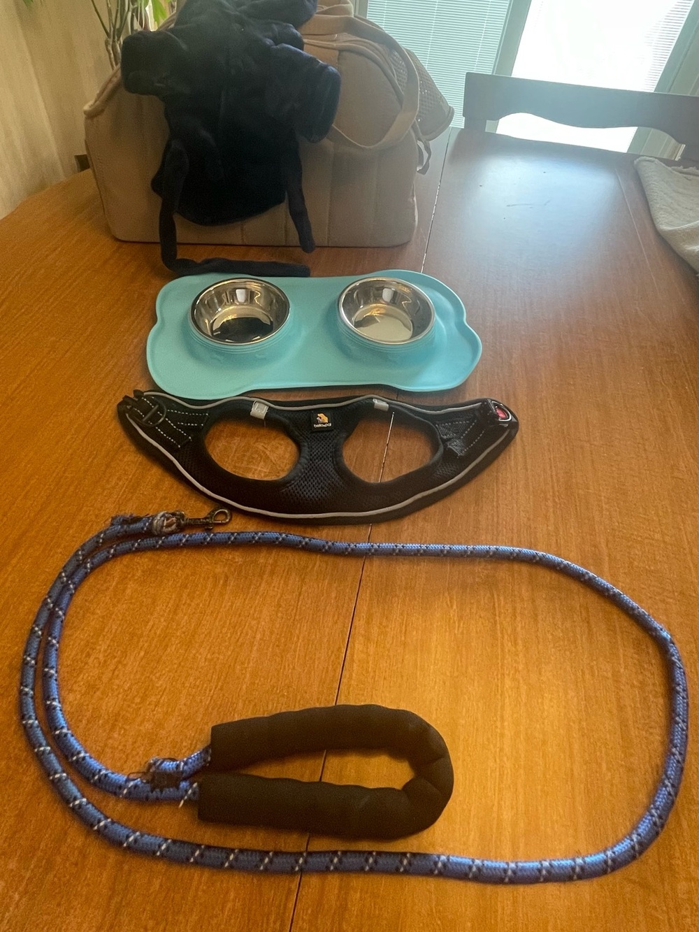 Black Mesh Dog Harness with Blue Rope Leash,hooded rope and Aqua Double Bowl Set